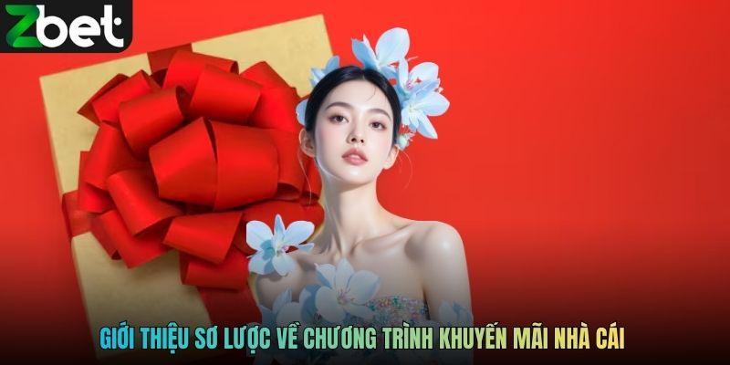 Giới thiệu sơ lược về chương trình khuyến mãi nhà cái