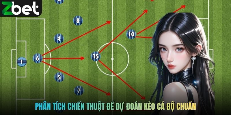 Phân tích chiến thuật để dự đoán kèo cá độ chuẩn