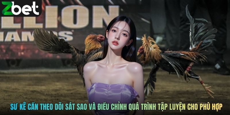 Sư kê cần theo dõi sát sao và điều chỉnh quá trình tập luyện cho phù hợp